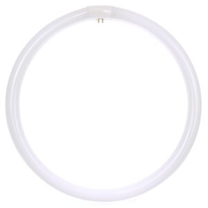 sunlite 41315 fc12t9/cw t9 round fluorescent circline lamp, 32 watts, 2100 lumens, 4100k cool white, rohs compliant, g10q 4-pin base, 1 pack