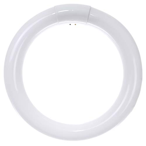 Sunlite 41316 FC8T9/CW 8-Inch T9 Round Fluorescent Circline Lamp, 22 Watts, 1250 Lumens, 4100K Cool White, G10Q 4-Pin Base, 1 Pack