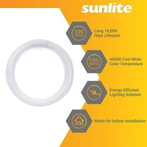 Sunlite 41316 FC8T9/CW 8-Inch T9 Round Fluorescent Circline Lamp, 22 Watts, 1250 Lumens, 4100K Cool White, G10Q 4-Pin Base, 1 Pack