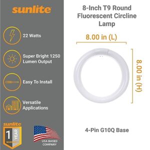 Sunlite 41316 FC8T9/CW 8-Inch T9 Round Fluorescent Circline Lamp, 22 Watts, 1250 Lumens, 4100K Cool White, G10Q 4-Pin Base, 1 Pack