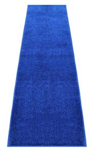 event carpet aisle runner - quality plush pile rug with backing, binding in various sizes (3 x 30 ft, bright royal blue)