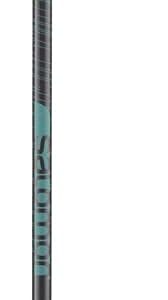 Salomon Arctic Lady Ski Poles - 100