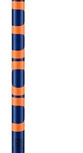 Salomon Kaloo Junior Ski Poles - 105,Blue