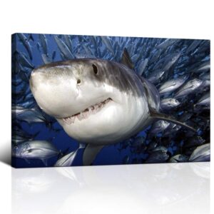 klvos blue ocean wall art great white shark catching fish pictures prints on canvas underwater animal painting artwork decor for bathroom bedroom living room home decoration16x24inch