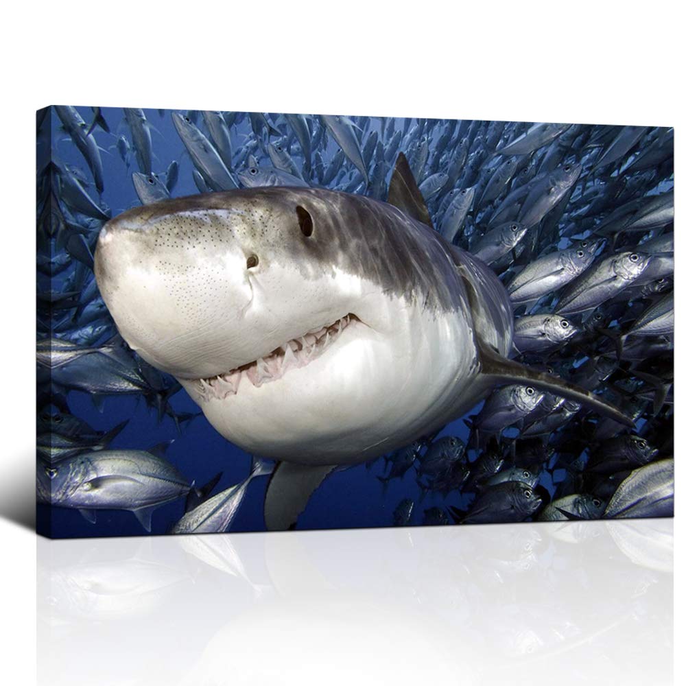 KLVOS Blue Ocean Wall Art Great White Shark Catching Fish Pictures Prints On Canvas Underwater Animal Painting Artwork Decor for Bathroom Bedroom Living Room Home Decoration16x24inch