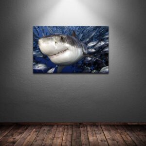 KLVOS Blue Ocean Wall Art Great White Shark Catching Fish Pictures Prints On Canvas Underwater Animal Painting Artwork Decor for Bathroom Bedroom Living Room Home Decoration16x24inch