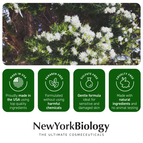 New York Biology Tea Tree Oil Foot Cream for Dry Cracked Feet, Athletes Foot, Nail Fungus, Jock Itch, Ringworm, Cracked Heels and Itchy Skin - Foot Cream - 8 oz