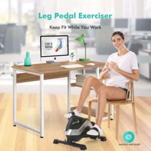 Under Desk Bike Pedal Exerciser, ANCHEER Magnetic Mini Exercise Bike for Arm Leg Recovery, Physical Therapy Leg Exerciser While Sitting for Home and Office Fitness