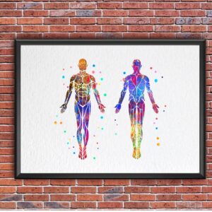 Dignovel Studios 8X10 Unframed Muscular System Human Body Anatomy Watercolor Art Print Poster Housewarming Wall Giclee Office Home Decor DN532