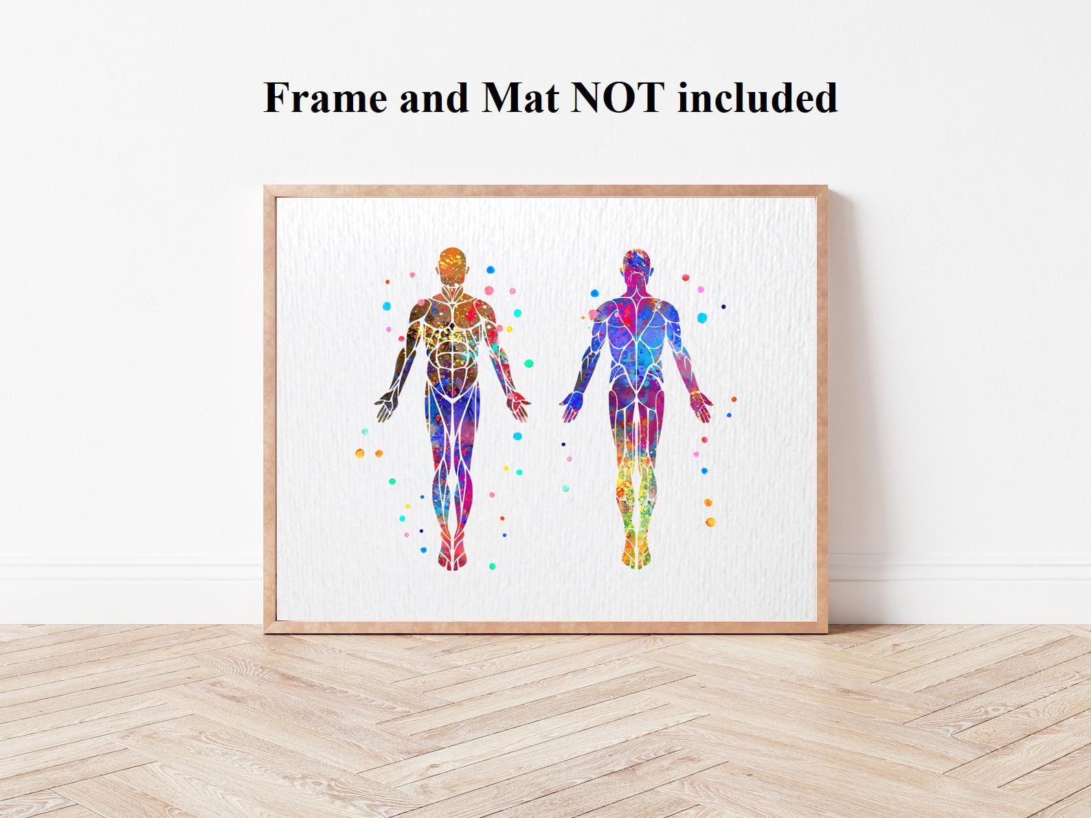 Dignovel Studios 8X10 Unframed Muscular System Human Body Anatomy Watercolor Art Print Poster Housewarming Wall Giclee Office Home Decor DN532