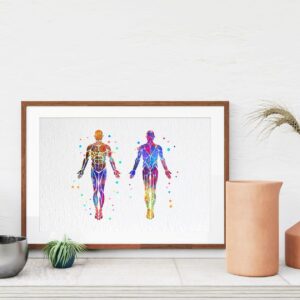 Dignovel Studios 8X10 Unframed Muscular System Human Body Anatomy Watercolor Art Print Poster Housewarming Wall Giclee Office Home Decor DN532