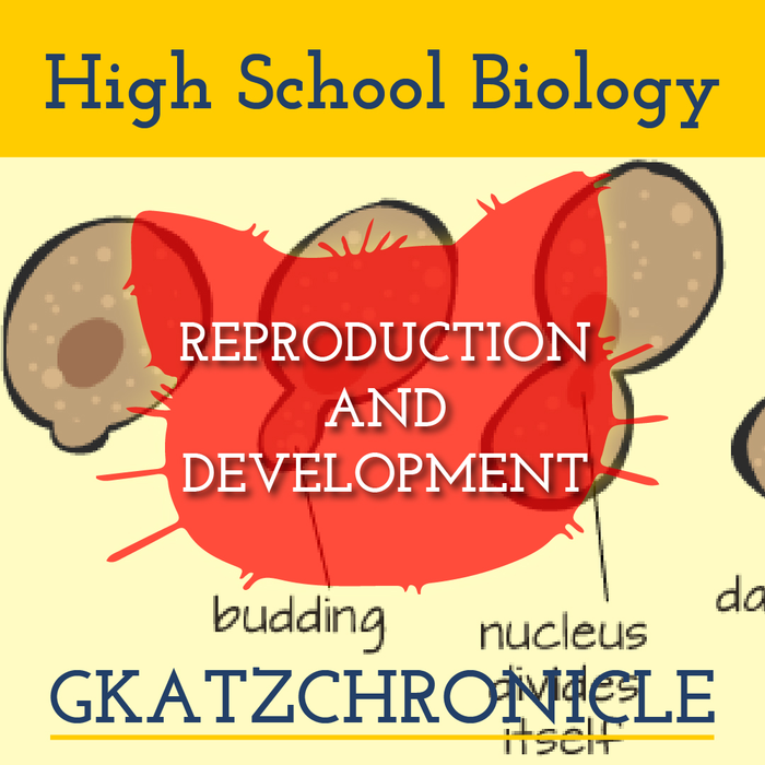 Biology Concepts Asexual Reproduction (Educational Activities, Inc) Video Study Worksheet