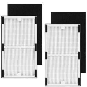 replacement filter c for idylis iaf-h-100c, iap-10-200, iap-10-280, 2 pack type c true hepa filter & 2 activated carbon pre-filter)