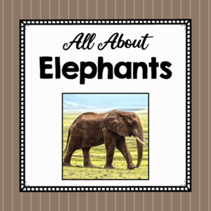 all about elephants - elementary animal science unit