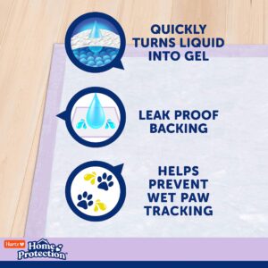 Hartz Home Protection Lavender Scented Dog Pads, XXL 80 Count, Super Absorbent & Won't Leak, Odor Eliminating