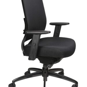 Oak Hollow Furniture Reina Series Office Chair Ergonomic Executive Computer Chair with Breathable Fabric Seat Cushion and Mesh Back, Adjustable and Comfortable, Lumbar Support, Swivel and Tilt