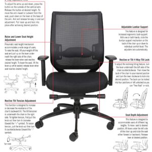 Oak Hollow Furniture Reina Series Office Chair Ergonomic Executive Computer Chair with Breathable Fabric Seat Cushion and Mesh Back, Adjustable and Comfortable, Lumbar Support, Swivel and Tilt