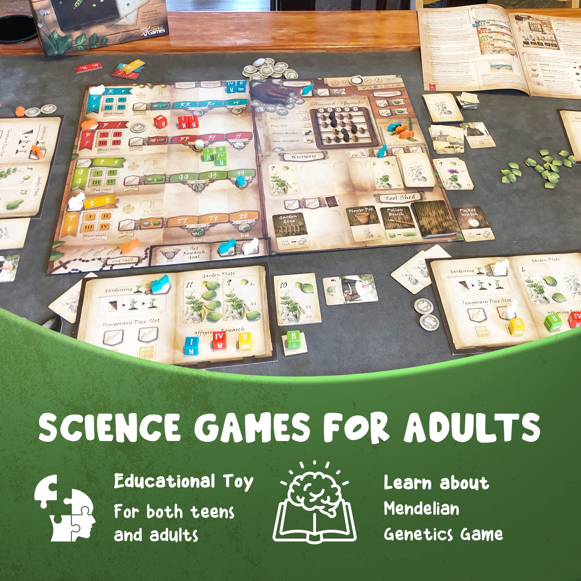 Genotype: Mensa Award Winning Genetics Board Game about Mendel's Pea Plants