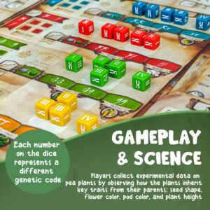 Genotype: Mensa Award Winning Genetics Board Game about Mendel's Pea Plants