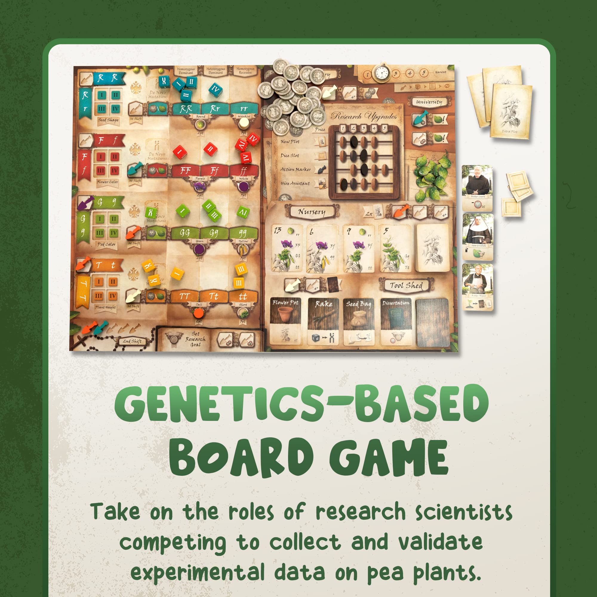 Genotype: Mensa Award Winning Genetics Board Game about Mendel's Pea Plants