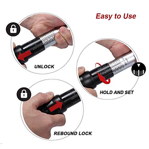 RIMKOLO 3/4-inch Drive Click Torque Wrench Dual-Direction Adjustable Torque Wrench Set with Buckle with Screwdriver (100-600ft.lb / 135-815Nm)