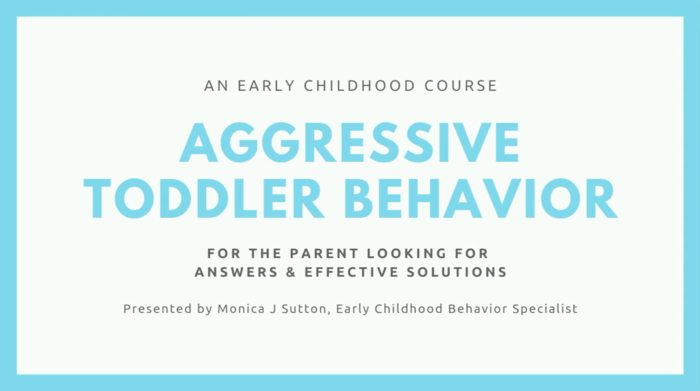 Aggressive Toddler Behavior Course