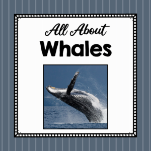 all about whales - elementary animal science unit