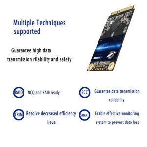 SSD mSATA 512GB Dogfish Internal Solid State Drive High Performance Hard Drive for Desktop Laptop SATA III 6Gb/s Includes SSD 16GB 32GB 60GB 64GB 120GB 128GB 240GB 250GB 480GB 500GB (512GB MSATA)