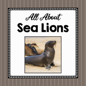 all about sea lions - elementary animal science unit