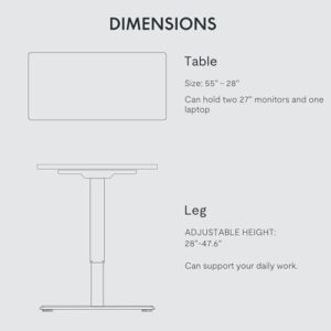 FLEXISPOT Adjustable Desk 55 x 28 Inches Stand Up Desk Workstation Electric Height Adjustable Standing Desk with Splice Board (Gray Frame + 55 in Mahogany Top)