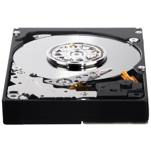 Western Digital WD3001BKHG - Western Digital 300GB 2.5" SAS 10K 6Gb/s Hard Drive