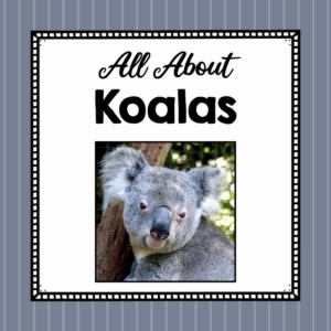 all about koala - elementary animal science unit