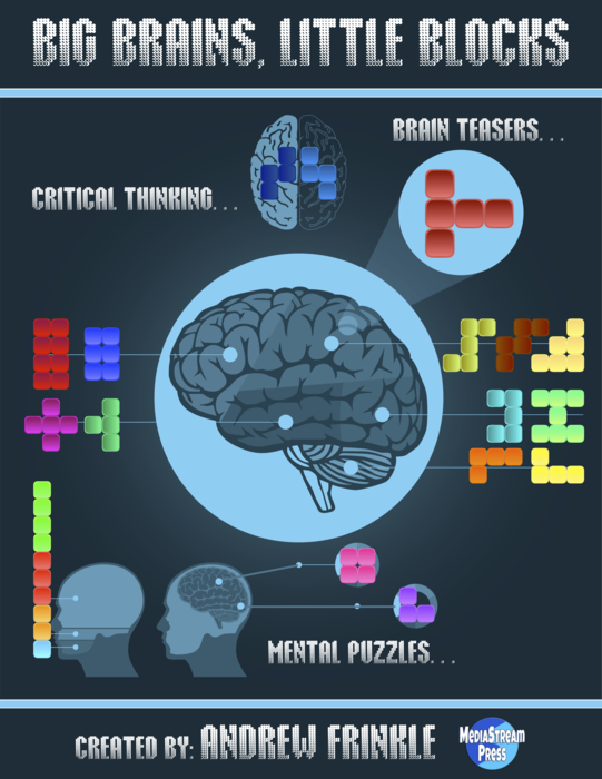 Big Brains Little Blocks - Gifted Geometry Problem Solving Puzzle Game