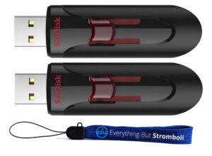 sandisk 256gb cruzer glide 3.0 usb flash drive (2 pack) laptop computer pen drive (sdcz600-256g-g35) bundle with (1) everything but stromboli lanyard
