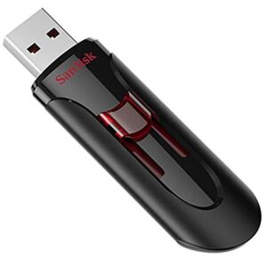 SanDisk 256GB Cruzer Glide 3.0 USB Flash Drive (2 Pack) Laptop Computer Pen Drive (SDCZ600-256G-G35) Bundle with (1) Everything But Stromboli Lanyard