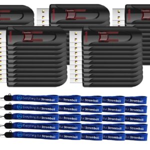 SanDisk 16GB Cruzer Glide 3.0 USB Flash Drive (50 Pack) Pen Drives Works with Laptop Computers with USB 2.0/3.0 Port (SDCZ600-016G-G35) Bundle with (25) Everything But Stromboli Lanyards