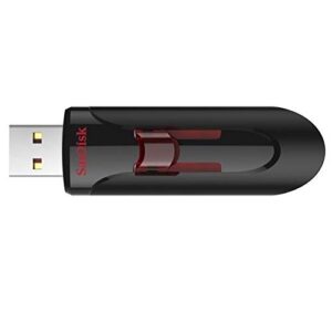 SanDisk Cruzer Glide 3.0 256GB USB Flash Drive (SDCZ600-256G-G35) High Performance Pen Drive Bundle with (1) Everything But Stromboli Lanyard