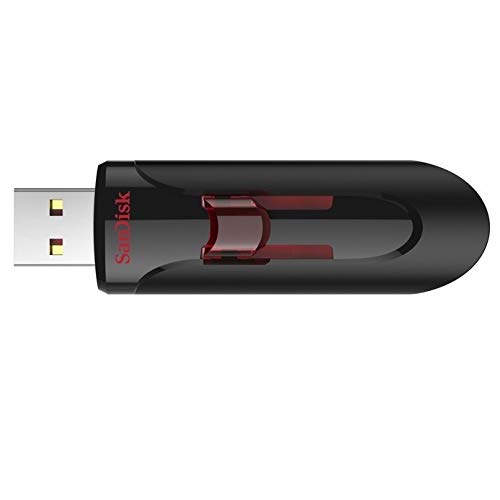 SanDisk Cruzer Glide 3.0 256GB USB Flash Drive (SDCZ600-256G-G35) High Performance Pen Drive Bundle with (1) Everything But Stromboli Lanyard