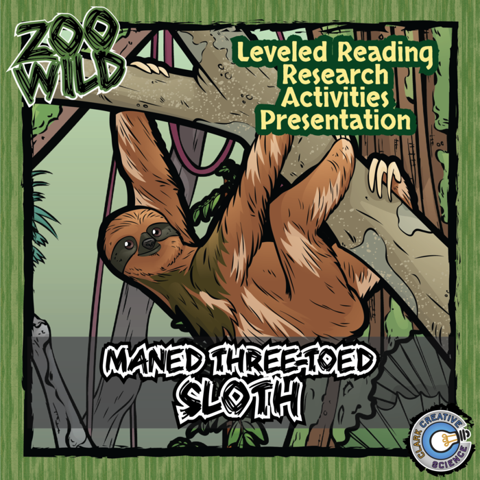 Sloth - 15 Zoo Wild Resources - Leveled Reading, Slides & Activities