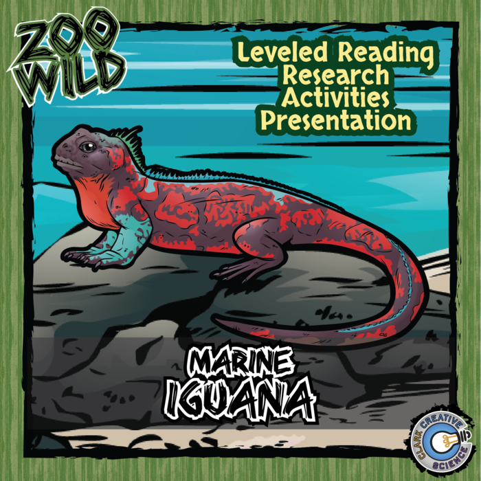 Marine Iguana - 15 Zoo Wild Resources - Leveled Reading, Slides & Activities