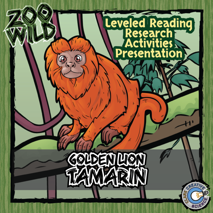 Tamarin - 15 Zoo Wild Resources - Leveled Reading, Slides & Activities