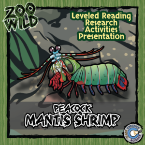 peacock mantis shrimp - 15 zoo wild resources - leveled reading, slides & activities