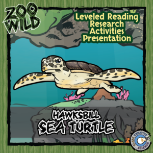 hawksbill sea turtle - 15 zoo wild resources - leveled reading, slides & activities