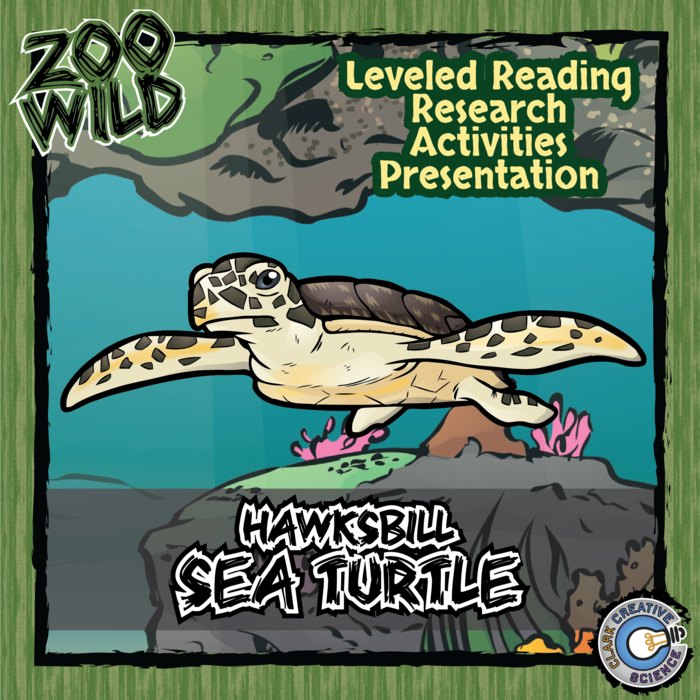 Hawksbill Sea Turtle - 15 Zoo Wild Resources - Leveled Reading, Slides & Activities