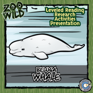 beluga whale - 15 zoo wild resources - leveled reading, slides & activities
