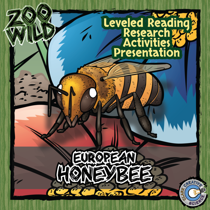 Honey Bee - 15 Zoo Wild Resources - Leveled Reading, Slides & Activities