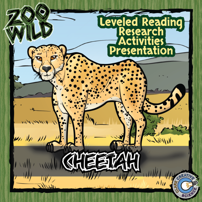 Cheetah - 15 Zoo Wild Resources - Leveled Reading, Slides & Activities