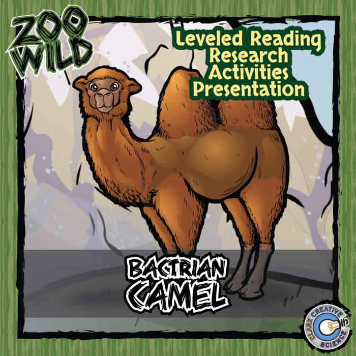 Bactrian Camel - 15 Zoo Wild Resources - Leveled Reading, Slides & Activities