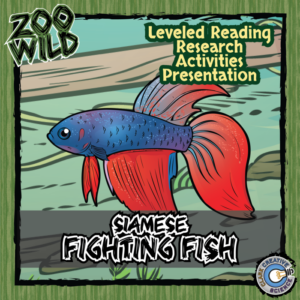 siamese fighting fish - betta - 15 zoo wild resources - leveled reading, slides & activities