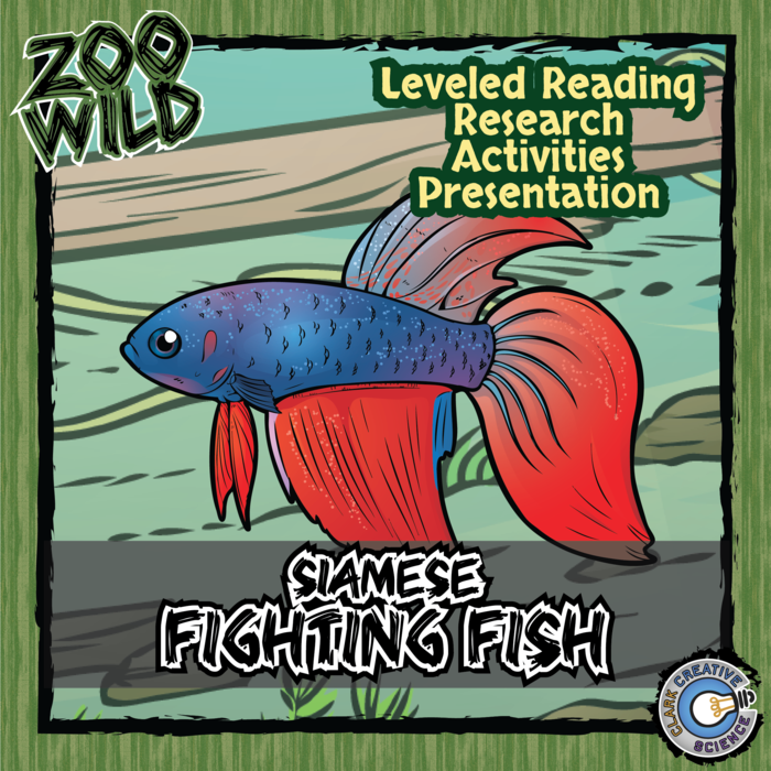 Siamese Fighting Fish - Betta - 15 Zoo Wild Resources - Leveled Reading, Slides & Activities